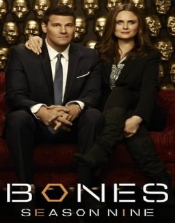 Bones temporada  9 online