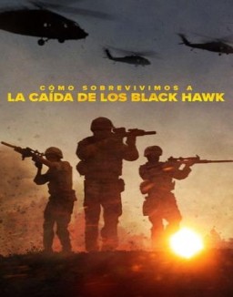 Cómo sobrevivimos a la caída de los Black Hawk online