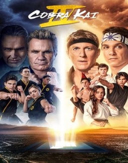 Cobra Kai stream