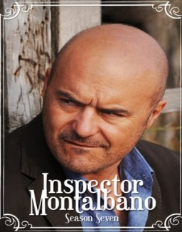 Comisario Montalbano temporada  7 online