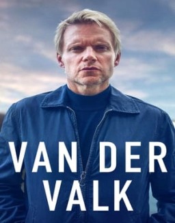 Detective Van der Valk temporada  3 online