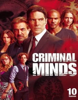 Mentes criminales stream