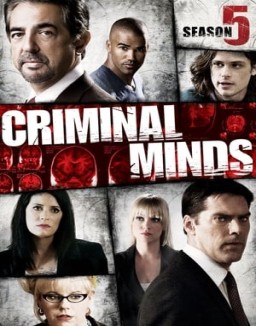 Mentes criminales T5