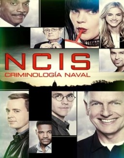 Navy: Investigación criminal temporada  1 online