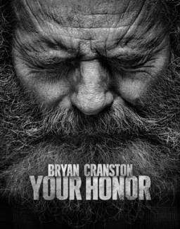 Your Honor online gratis